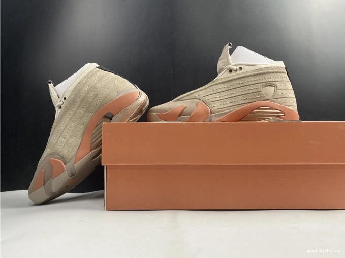 Retro Terra 14 Low Clot Blush Jordan DC9857-200 AIR 0821